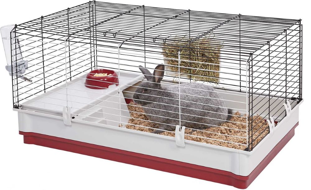 angora rabbit habitat / cage